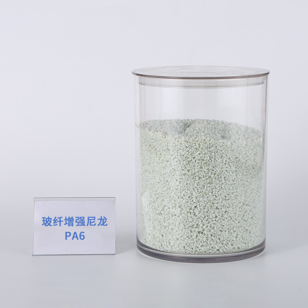 玻纤增强尼龙PA6 BIG2T-DB (B1G2T)
