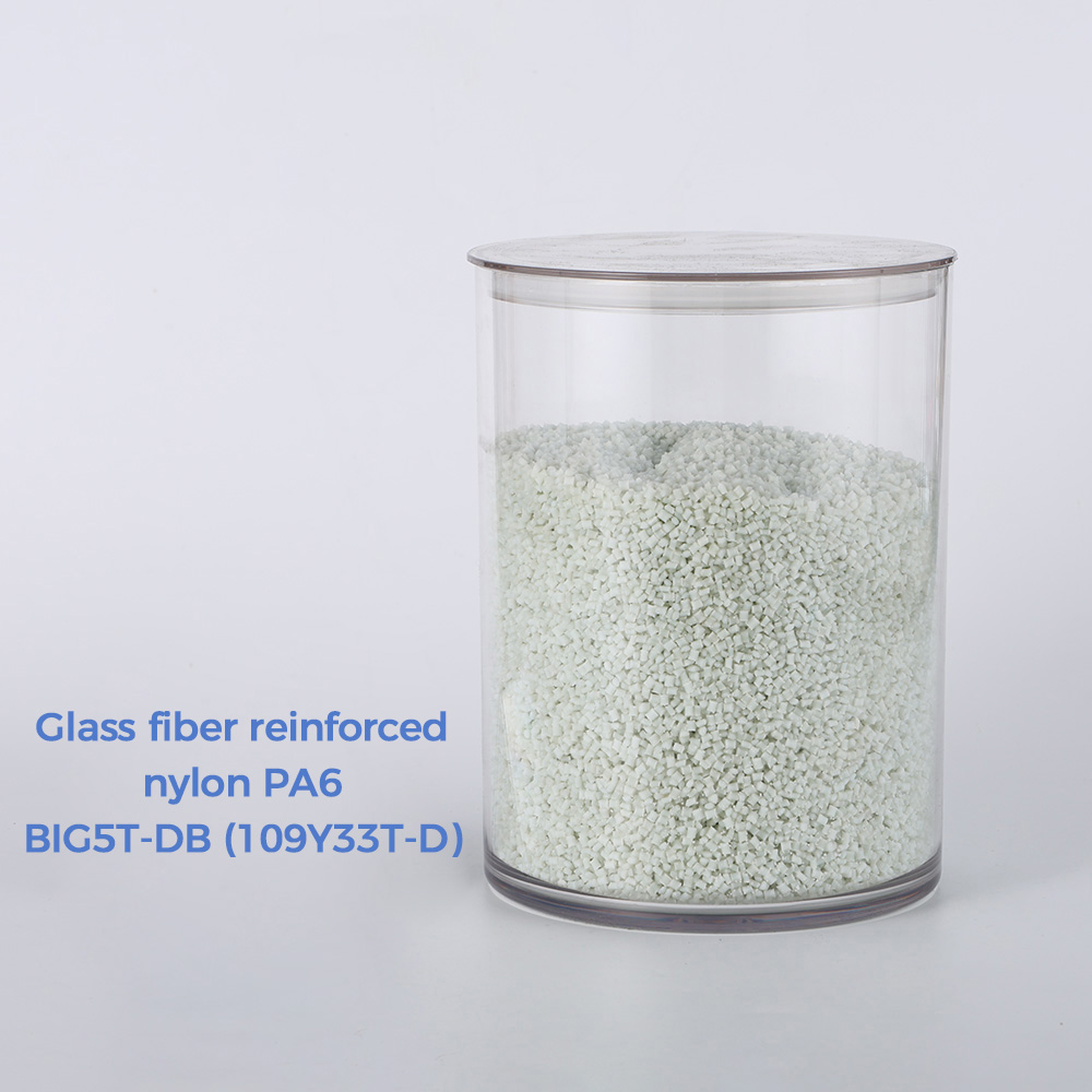 Glass fiber reinforced nylon PA6 BIG5T-DB (109Y33T-D)
