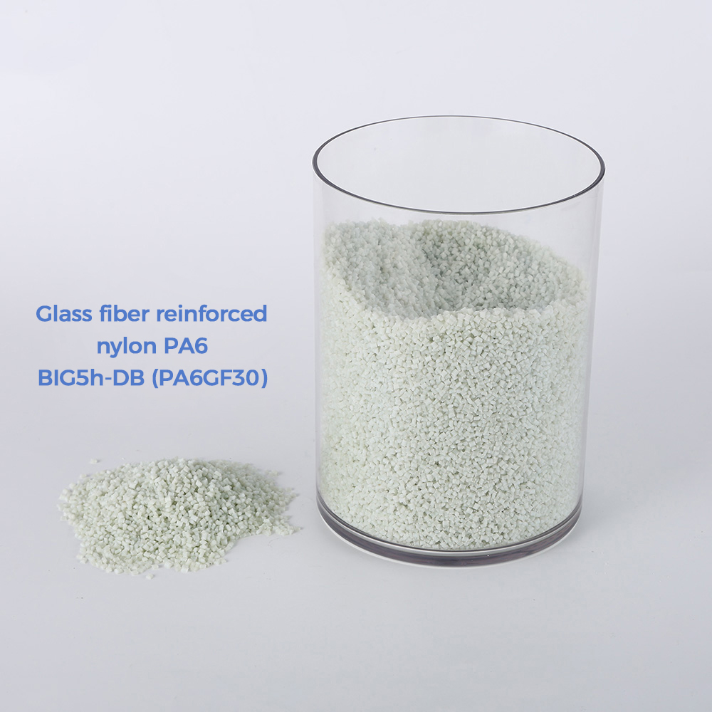 Glass fiber reinforced nylon PA6 BIG5h-DB (PA6GF30)