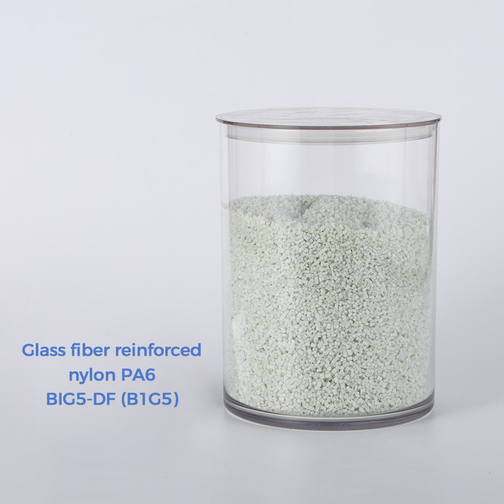 Glass fiber reinforced nylon PA6 BIG5-DF (B1G5)