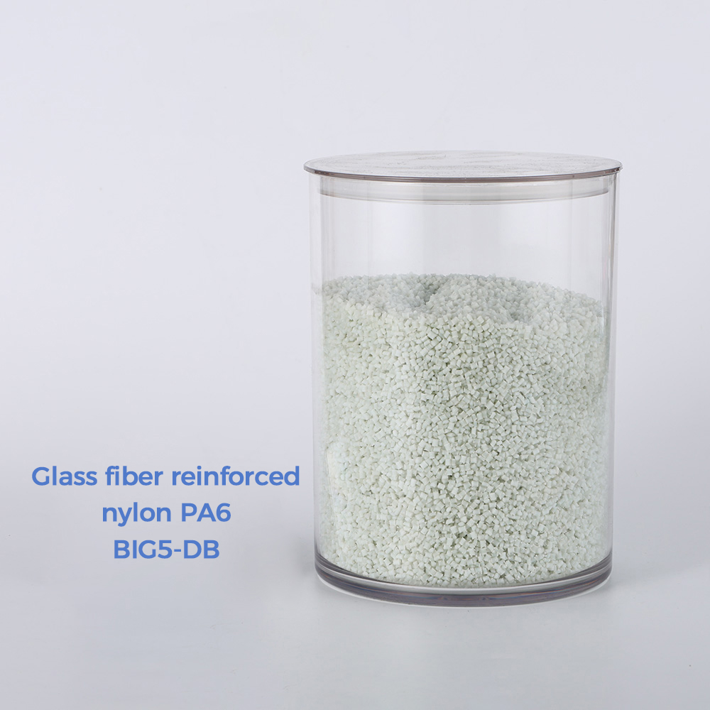 Glass fiber reinforced nylon PA6 BIG5-DB