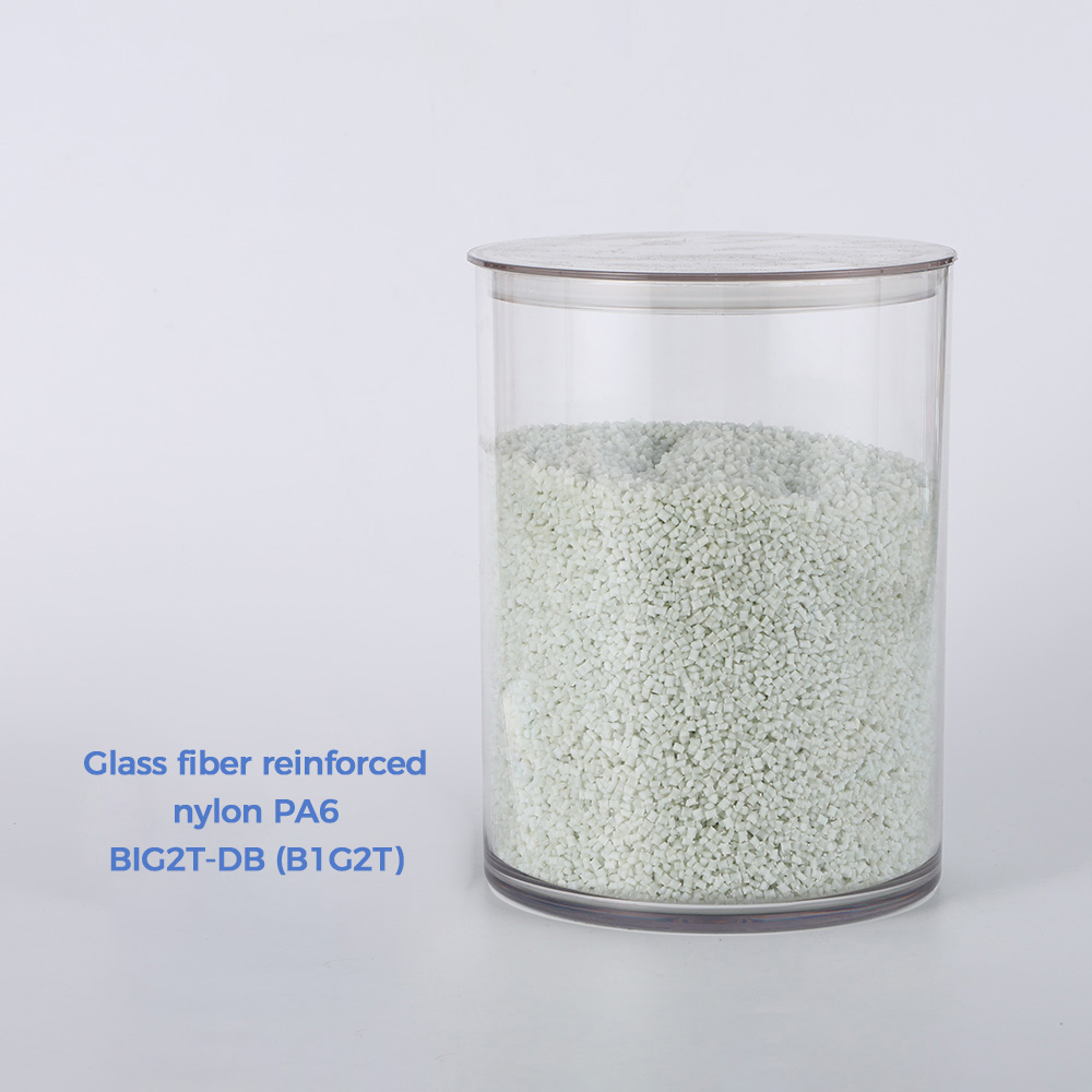 Glass fiber reinforced nylon PA6 BIG2T-DB (B1G2T)